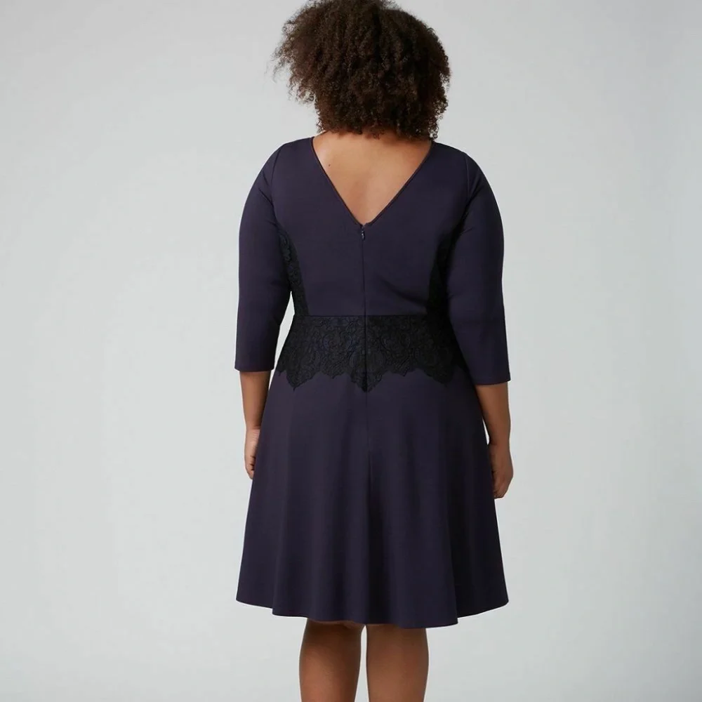 Lane Bryant Lace Inset Fit and Flare Dress NWT 26